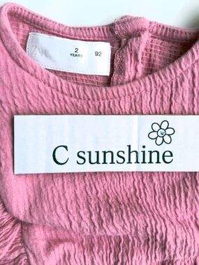 ZARA 2T  Pink Crinkled Baby Dress